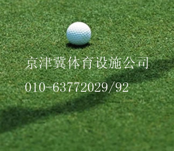 人造草坪-北京人造草坪-人造草坪足球场-人造草坪塑胶跑
